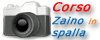 Corso di addestramento