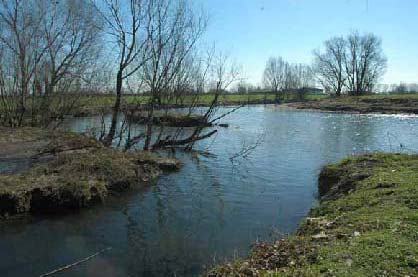 20100319-lambro-1
