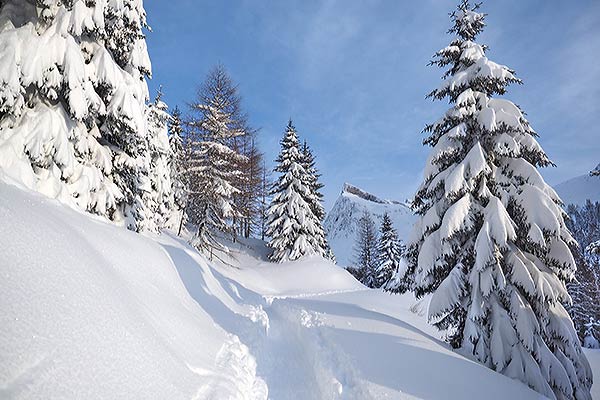 Verso il Passo del S.Bernardino